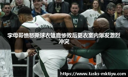 mk体育官网入口