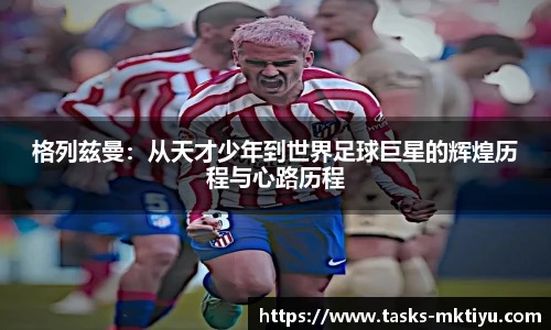 mk体育官网入口
